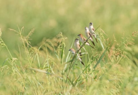 Reader pictures of the day