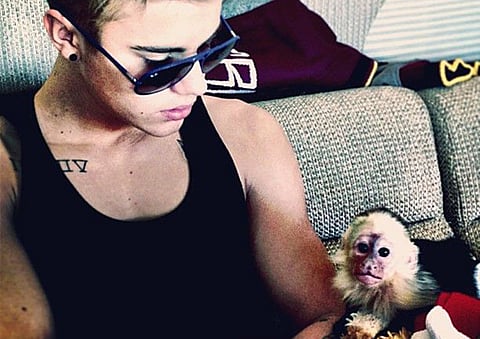 Justin Bieber finally pays for former pet monkey