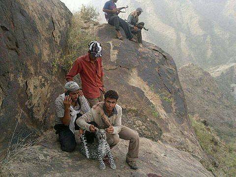 Call to protect Arabian leopards in Yemen