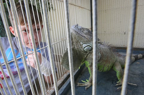 Abdel-Krim Kallouche/ XPRESS