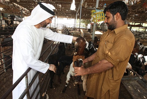 Atiq-Ur-Rehman/Gulf News