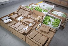 Dubai Customs seize 170kg of cocaine