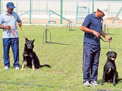 Atiq-Ur-Rehman/Gulf News