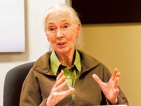 Zarina Fernandes/Gulf News