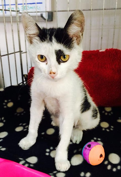 Kay Ivanova/Gulf News reader