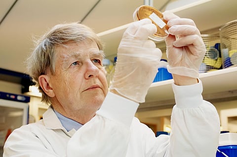 Probiotics: Human body’s health sentinels