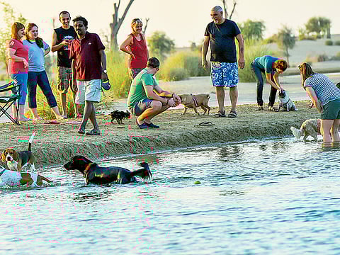 Ahmed Ramzan/Gulf News