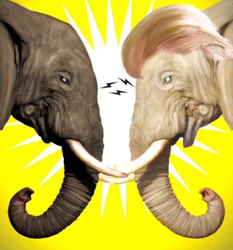 Oh, those debating Republicans