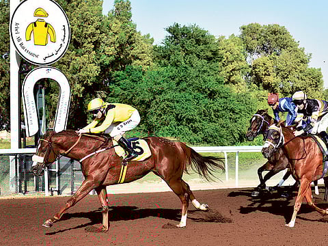 Zarina Fernandes/ Gulf News