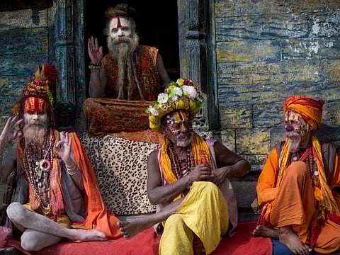 Capturing the colours of life