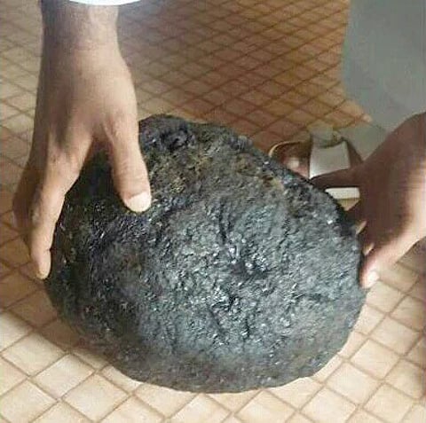 Courtesy of Oman Daily