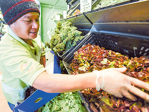 Abdel-Krim Kallouche/Gulf News