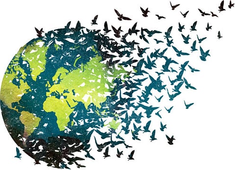 Refugees forgotten in Paris