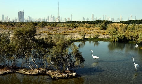 Atiq ur Rehman/Gulf News