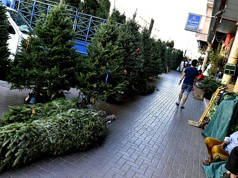 Clint Egbert/Gulf News