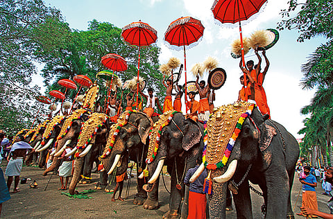 A photo portraying the pooram festivities