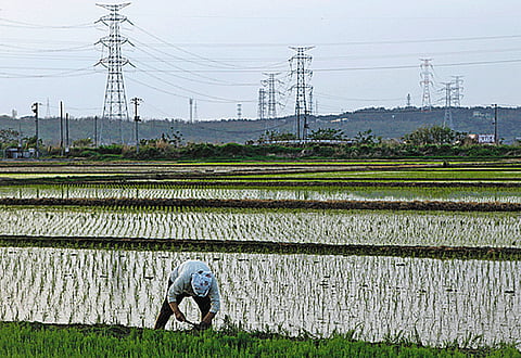 A surge in the price of fertilisers, linked in turn to spiralling energy prices, has ramped up the cost of inputs used by farmers.