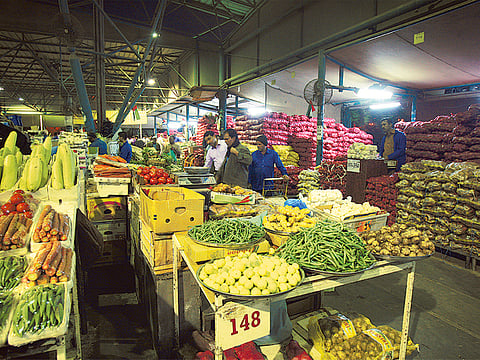 Clint Egbert/Gulf News