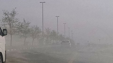 File picture: The National Centre of Meteorology said strong winds blowing at a speed of 35km/h can trigger blowing dust on Tuesday.