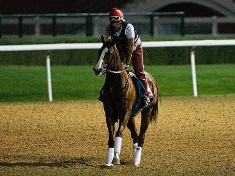 Virendra Saklani/Gulf News