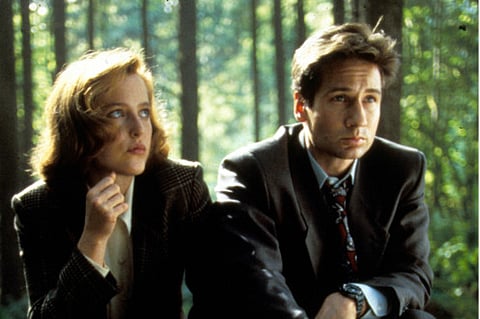 Moviestore Collection/REX