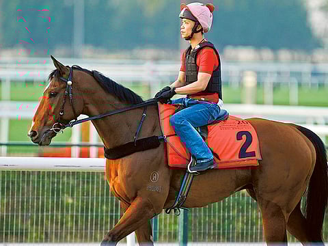 Virendra Saklani/Gulf News