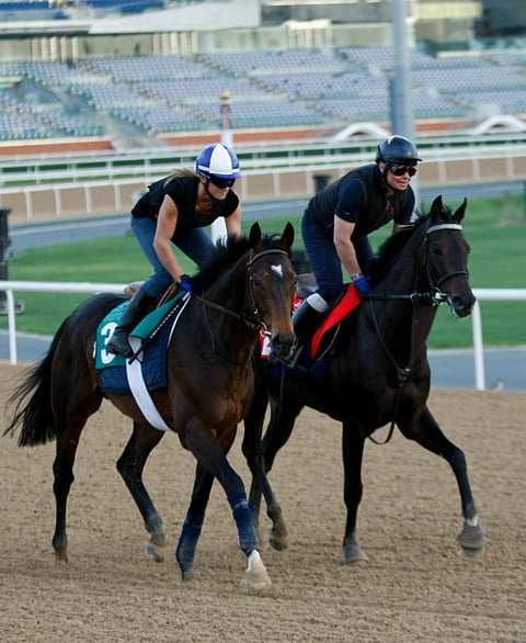 Virendra Saklani/Gulf News