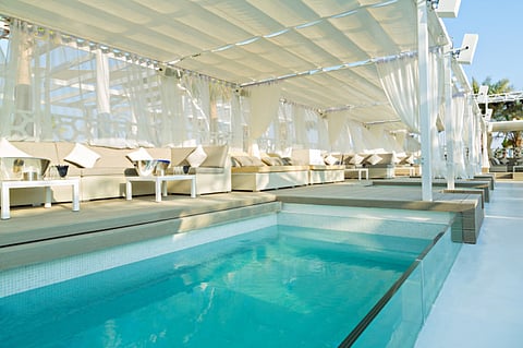 Zuma’s brunch is back!