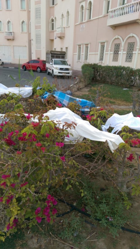 Manoj Kumar/Gulf News reader