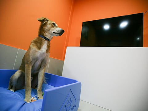 Abdel-Krim Kallouche/XPRESS