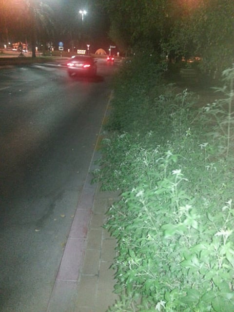 Nisar Ahmed, Gulf News reader