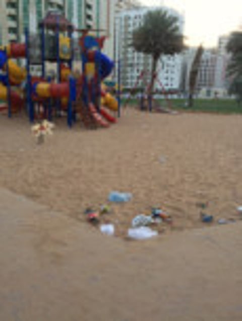 Madiha Ahamed, Gulf News reader