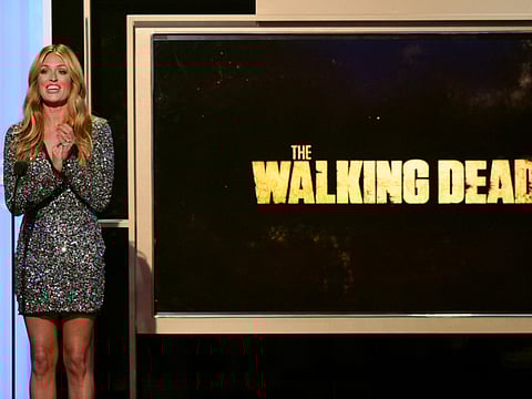 Vince Bucci/Invision/AP