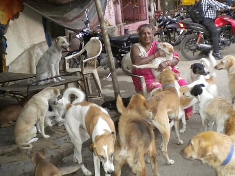 Saket strays find mother figure in ragpicker