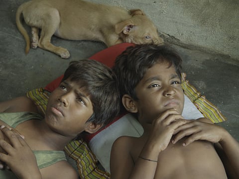 Review: ‘Kaakka Muttai’ is a rare gem