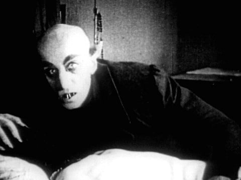 Moviestore/REX Shutterstock