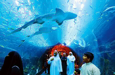 Dubai Aquarium and Underwater Zoo.