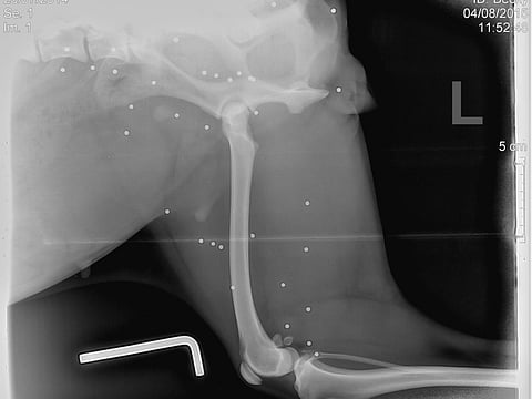 Abandoned and living in pain