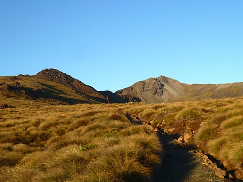 Getty Images/iStockphoto