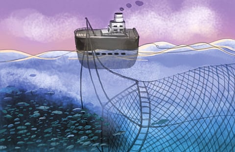 Focus: Overfishing