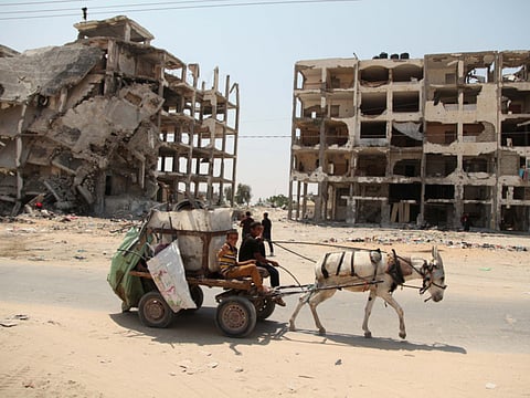 APAImages/REX Shutterstock