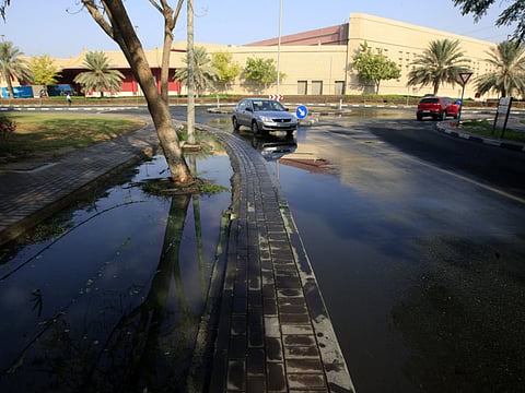 Zarina Fernandes/Gulf News Archives