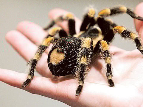 Matt McClain/Washington Post