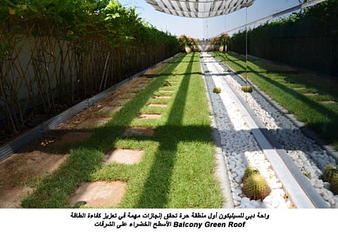 Dubai Silicon Oasis achieves green targets