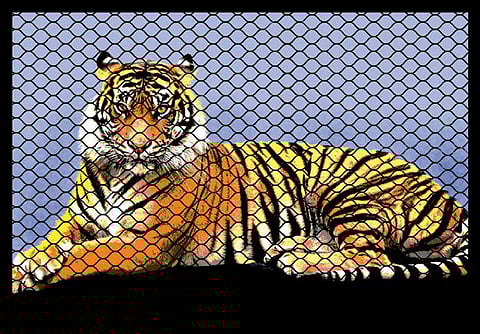 Niño Jose Heredia/Gulf News