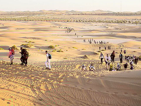 Courtesy: Emirates Wildlife Society-WWF