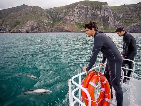 courtesy: Twitter @S1dharthM