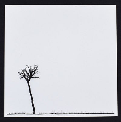 The dualities of life