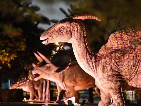 A.K Kallouche/Gulf News