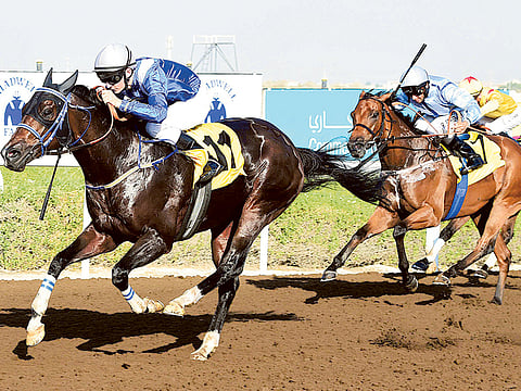Jebel Ali Racecourse has always played a key role in the flourishing horseracing culture of the UAE.